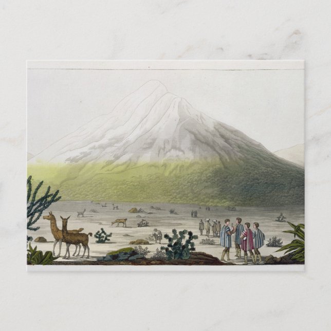 Mount Chimborazo, Ecuador, aus "Le Costume Ancien Postkarte (Vorderseite)