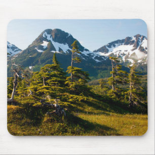 Mount Eccles bei Cordova, Alaska Mousepad