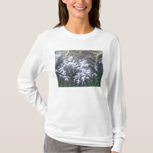 Mount Everest T-Shirt