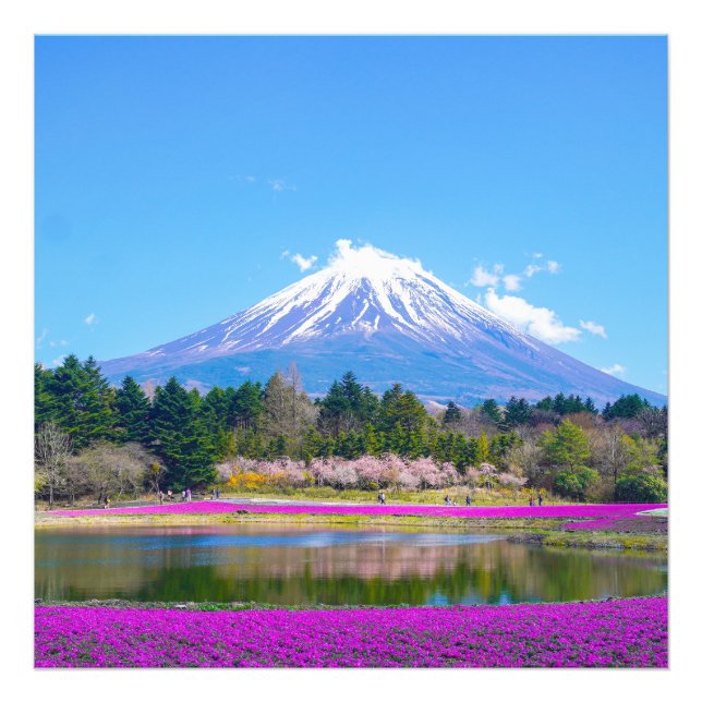 Mount Fuji Trees und Blume Fotodruck (Vorne)
