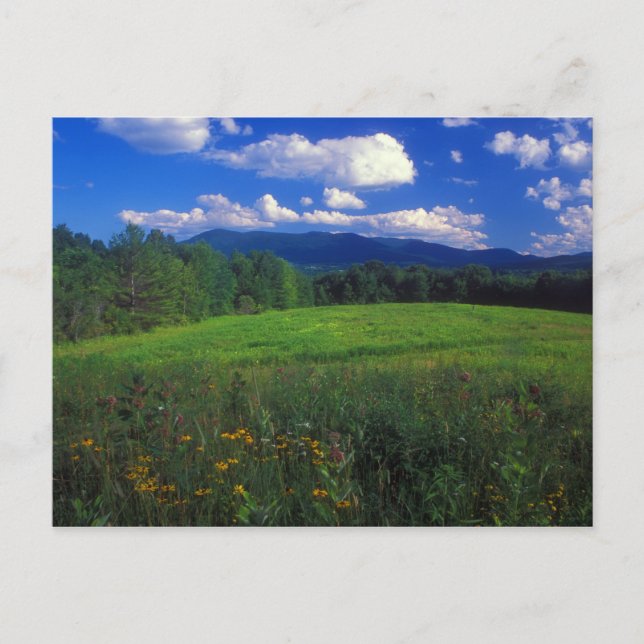Mount Greylock aus Meadow Williamstown Postkarte (Vorderseite)