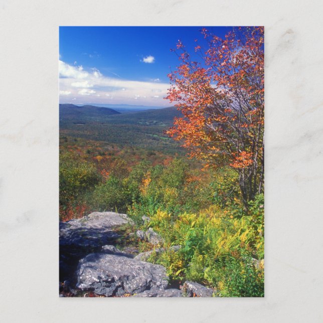 Mount Greylock Round Rock Vista Postkarte (Vorderseite)