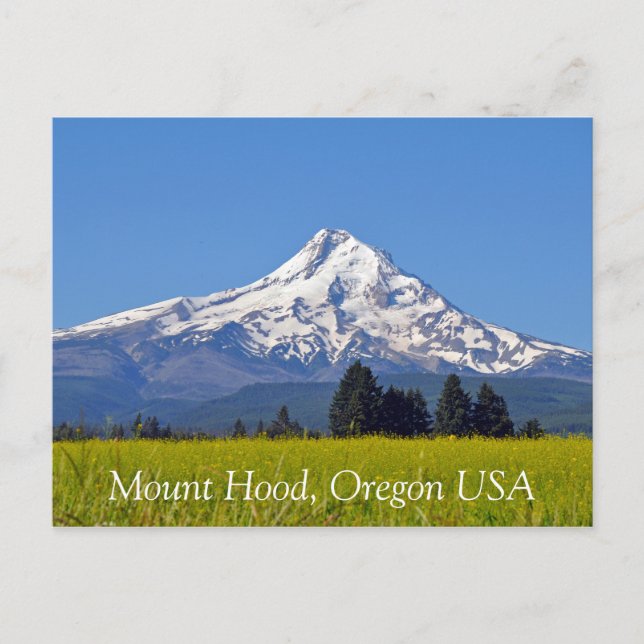 Mount Hood in Oregon USA Postkarte (Vorderseite)