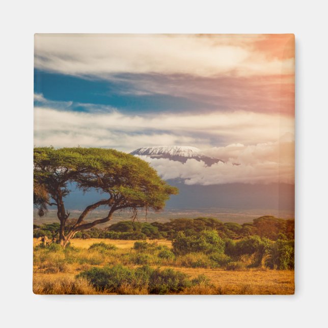 Mount Kilimanjaro | Amboseli, Kenia Magnet (Vorne)