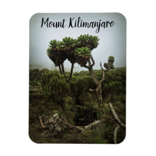 Mount Kilimanjaro Magnet