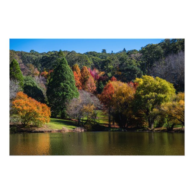 Mount Lofty Botanic Gardens Schöner Herbst Fotodruck (Vorne)