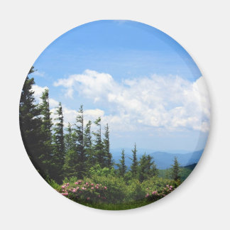 Mount Mitchell Staat Park Magnet