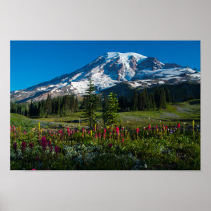 Mount Rainer-Wildblumen Poster