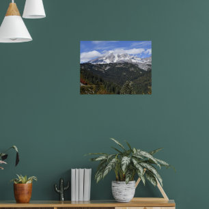 Mount Rainier Landschaft im Tal Poster