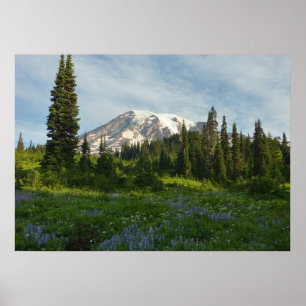 Mount Rainier Morgenlicht Poster