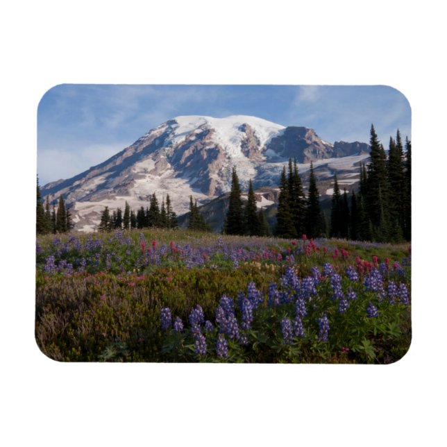 Mount Rainier National Park, Mount Rainier 3 Magnet (Horizontal)
