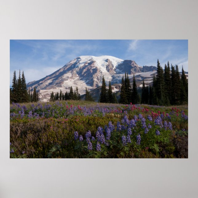 Mount Rainier National Park, Mount Rainier 3 Poster (Vorne)