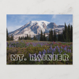 Mount Rainier National Park, Mount Rainier 3 Postkarte