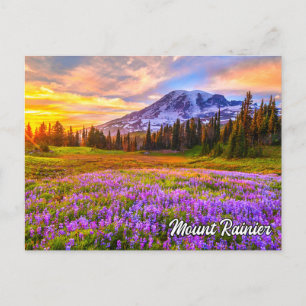 Mount Rainier National Park, Washington Postkarte