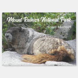 Mount Rainier Nationalpark Hoary Marmot Magnet
