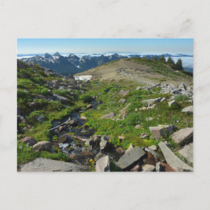 Mount Rainier Panorama Point Postkarte
