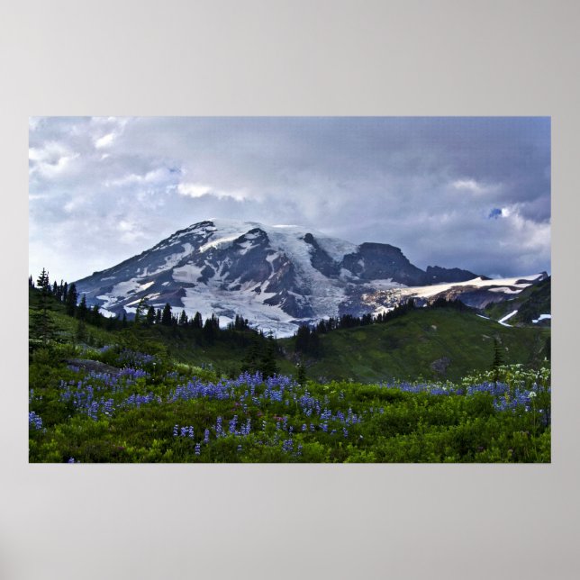 Mount Rainier Poster (Vorne)