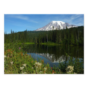 Mount Rainier Seereflektion mit Wildblumen Fotodruck