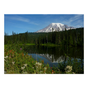 Mount Rainier Seereflektion mit Wildblumen Poster