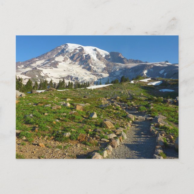 Mount Rainier Skyline Trail Aussicht Postkarte (Vorderseite)