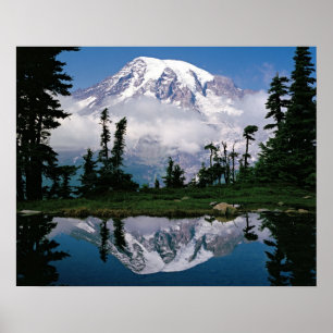 Mount Rainier spiegelt sich in einem Bergsee Poster
