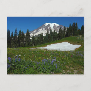 Mount Rainier, Wildblumen und Schnee Postkarte