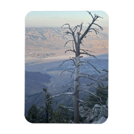 Mount San Jacinto State Park Magnet