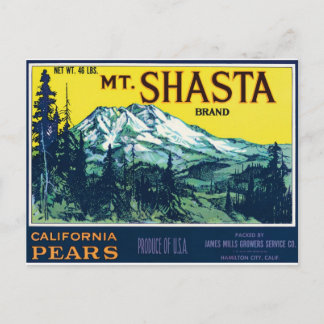Mount Shasta California CA Birnen Vintages Etikett Postkarte