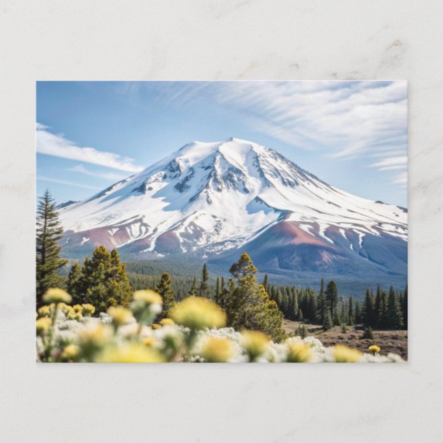 Mount Shasta California Snow Top Postkarte (Vorderseite)