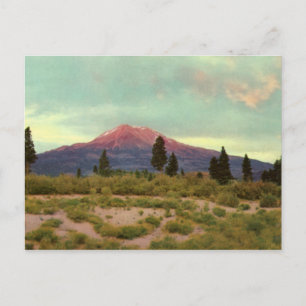 Mount Shasta Vintag Postcard Postkarte