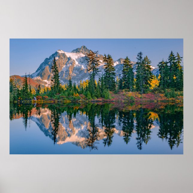 Mount Shuksan gespiegelt im Reflection Lake Poster (Vorne)