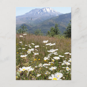 Mount St. Helens Postkarte