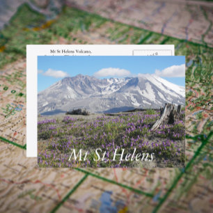 Mount St Helens Wildblumen Reisen Foto Postkarte