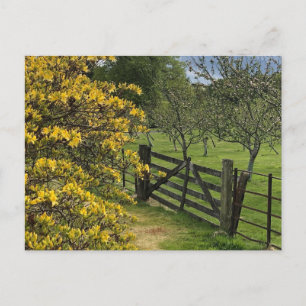 Mount Stuart Obstgarten & Tor Isle of Bute, Schott Postkarte