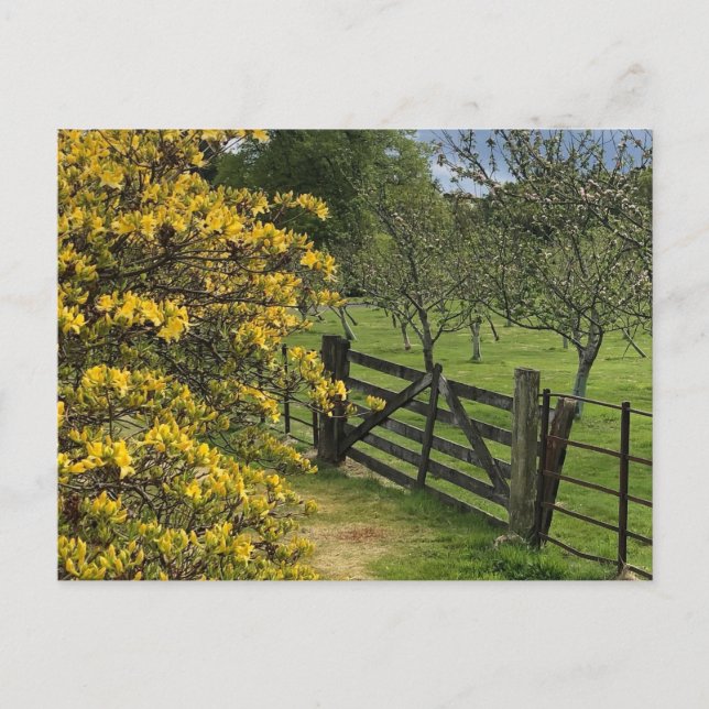 Mount Stuart Orchard & Gate Isle of Bute, Schottla Postkarte (Vorderseite)