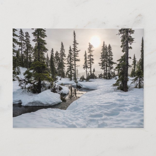 Mount Washington, British Columbia Postkarte (Vorderseite)