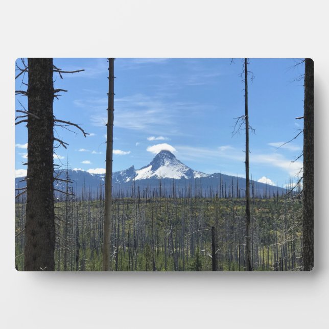 Mount Washington Fotoplatte (Vorderseite)