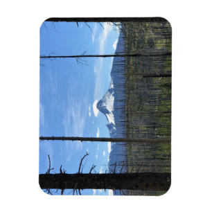 Mount Washington Magnet