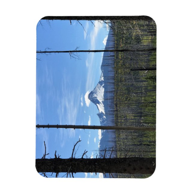 Mount Washington Magnet (Vertikal)