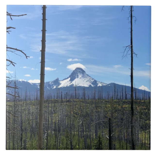 Mount Washington, OR Fliese (Vorderseite)