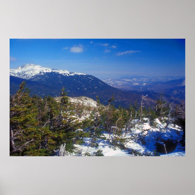 Mount Washington Winter Treeline View Poster (Vorne)