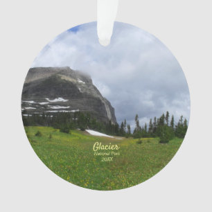 Mountain and Meadow Glacier National Park Foto Ornament