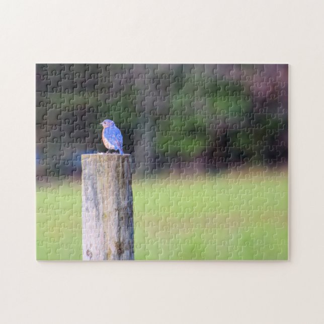 Mountain Blue Bird - 11 x 14 Zoll Puzzle (Horizontal)