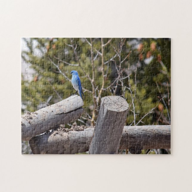 Mountain Bluebird - 11x14 - 252 Stk. Puzzle (Horizontal)