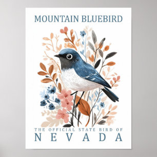 Mountain Bluebird Bird of Nevada USA Poster