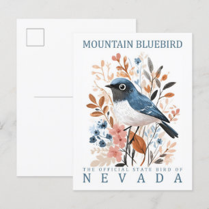 Mountain Bluebird Bird of Nevada USA Postkarte