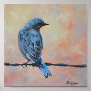 Mountain Bluebird Fine Art Print (klein) Poster