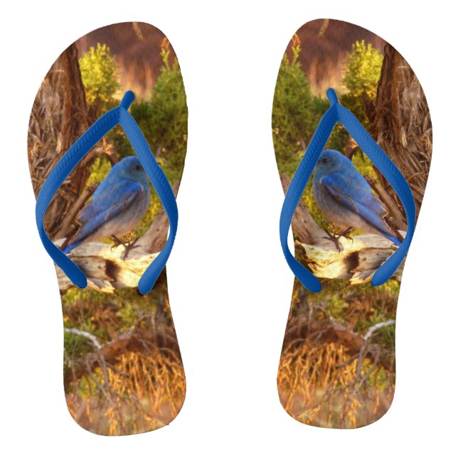 Mountain Bluebird im Nationalpark Arches Flip Flops (Fußbett)