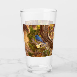 Mountain Bluebird im Nationalpark Arches Glas