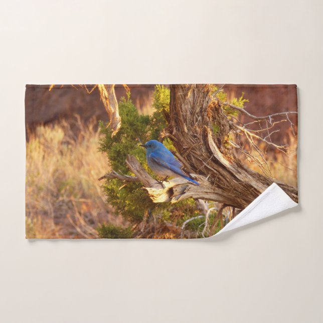 Mountain Bluebird im Nationalpark Arches Handtuch (Handtuch)
